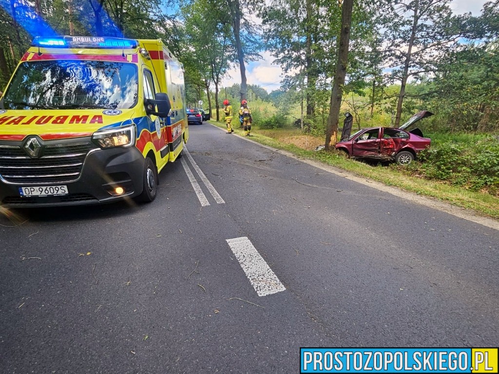 Dachowanie na DW461 w Dąbrówce Łubniańskiej. Kierowca był pod wpływem alkoholu