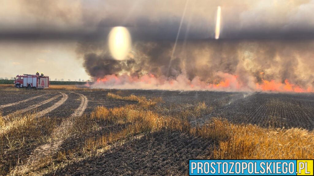 Ogromny pożar pola pod Nysą. Spłonęło około 60 hektarów jęczmienia, w akcji samolot gaśniczy Dromader