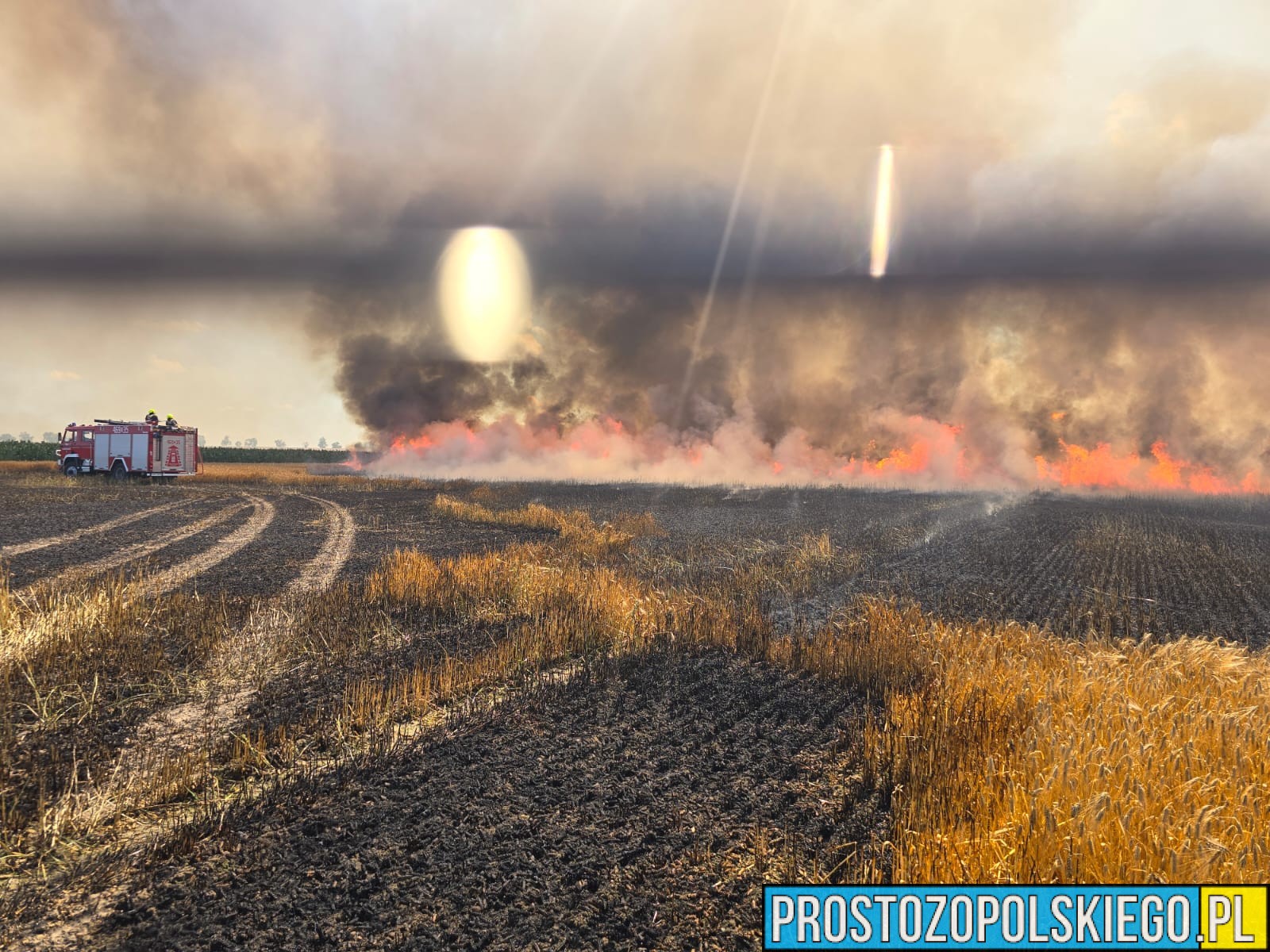 Ogromny pożar pola pod Nysą. Spłonęło około 60 hektarów jęczmienia, w akcji samolot gaśniczy Dromader