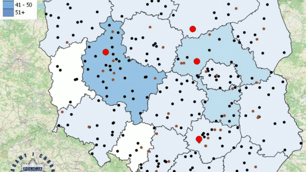 268 śmiertelnych wypadków podczas wakacji. Policja pokazuje mapę tragedii na polskich drogach