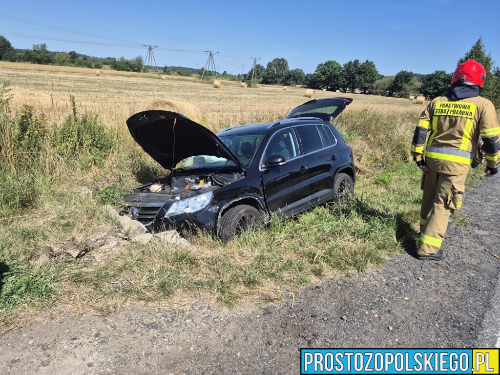 Zderzenie dwóch samochodów w Ligocie Tułowickiej. Jedno auto wylądowało w rowie
