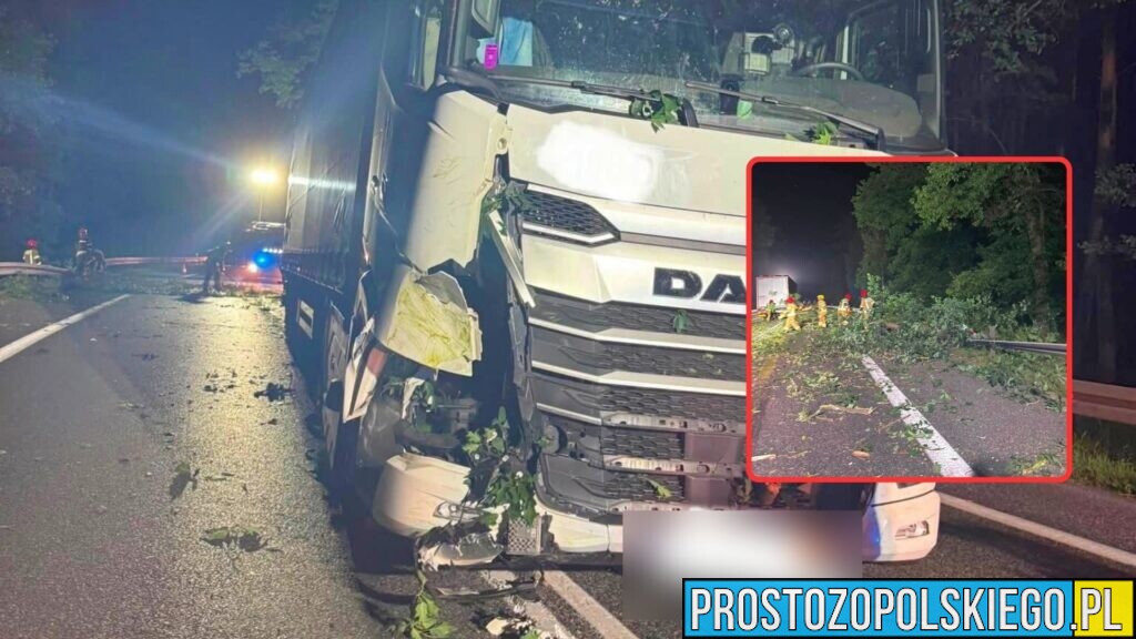 Drzewo runęło przed ciężarówkę na DK46. Kierowca nie miał szans wyhamować