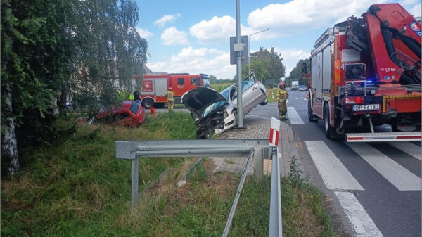 Dwa samochody wypadły z drogi na DK94. Jedna osoba trafiła do szpitala