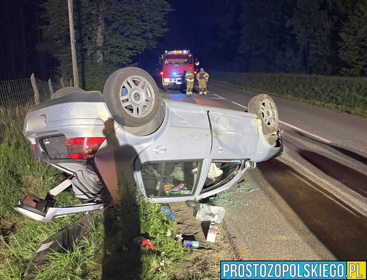 Volkswagen Golf uderzył w dzika i dachował. Kierowca trafił do szpitala