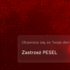 Wyciek danych? Zabezpiecz swój PESEL. Kilka prostych kroków może uchronić przed oszustwem