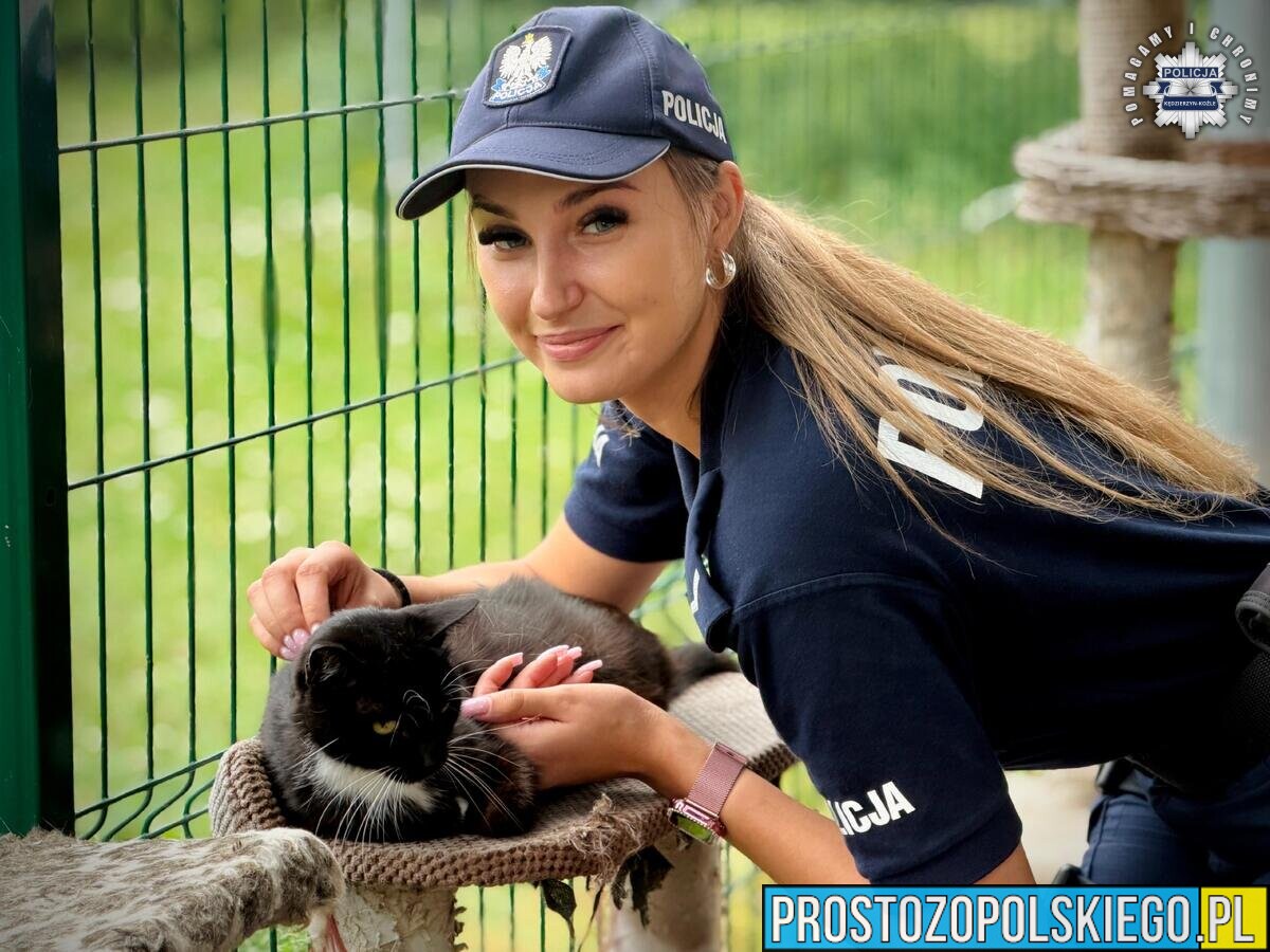 Policjanci odwiedzili schronisko dla bezdomnych zwierząt. Rusza wyjątkowa akcja adopcyjna