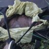 Znaleziono właścicielkę psa wrzuconego do Kanału Gliwickiego. Policja nadal bada sprawę