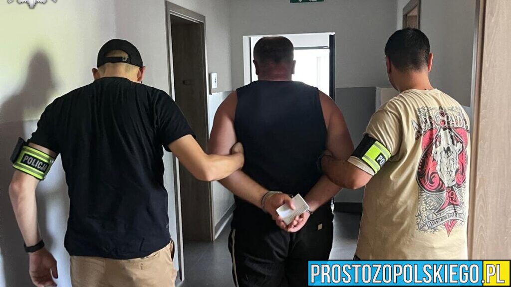 Jechał mimo sądowego zakazu. 49-letni Gruzin zostanie deportowany z Polski