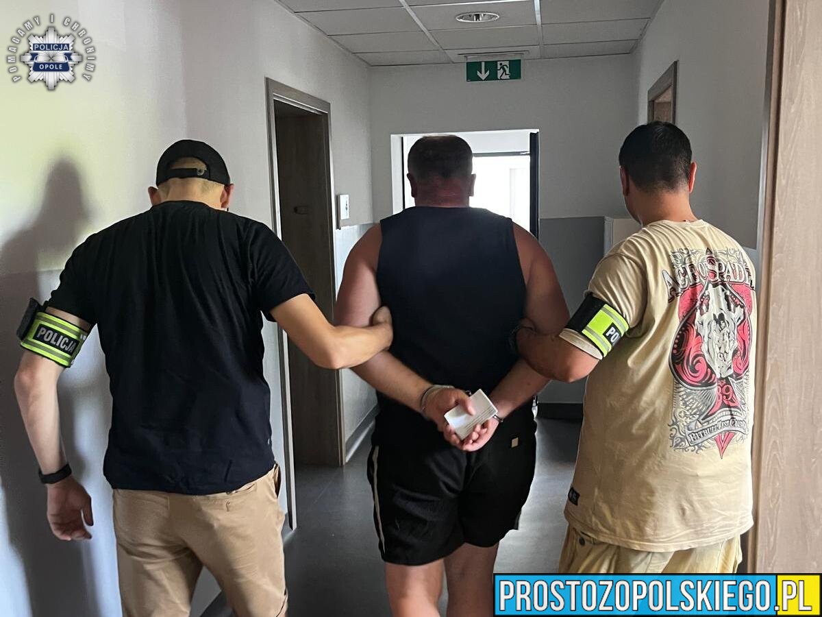 Jechał mimo sądowego zakazu. 49-letni Gruzin zostanie deportowany z Polski