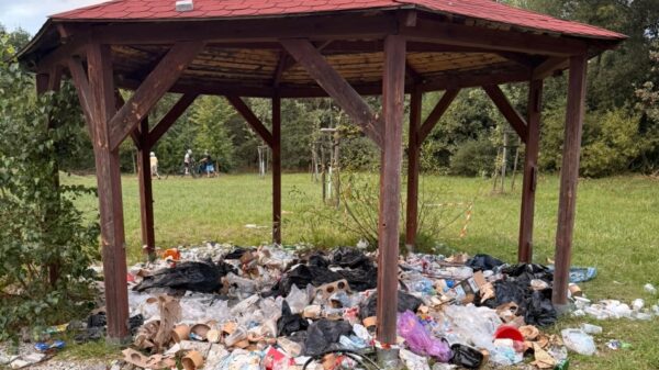 Miesiąc po festynie w Czarnowąsach wciąż zalegają śmieci. Mieszkańcy pytają: kto posprząta boisko?