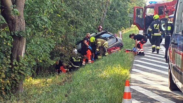 Wypadek na DK94 w Izbicku. Samochód zjechał z drogi, dwie osoby pod opieką ratowników