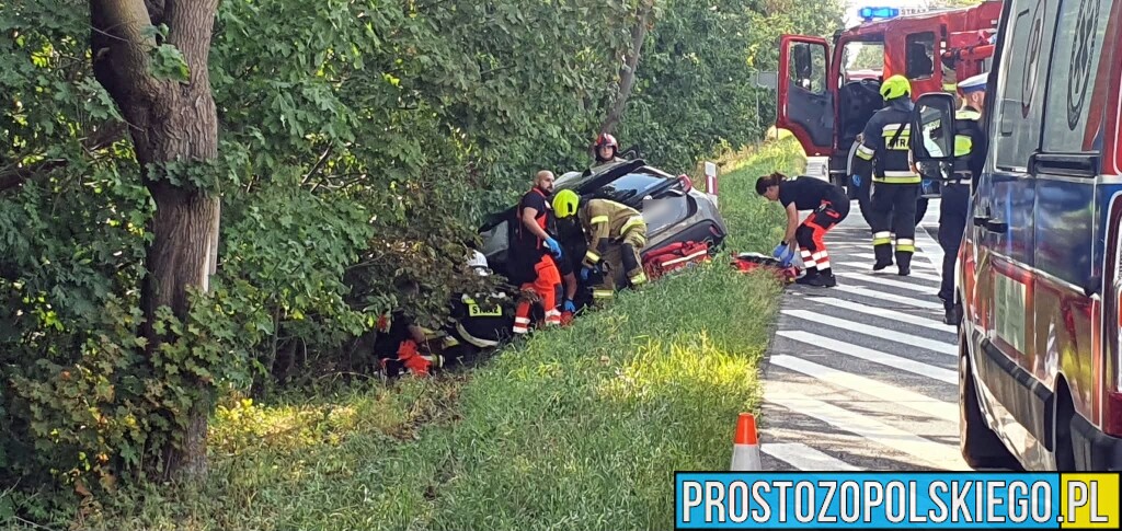 Wypadek na DK94 w Izbicku. Samochód zjechał z drogi, dwie osoby pod opieką ratowników