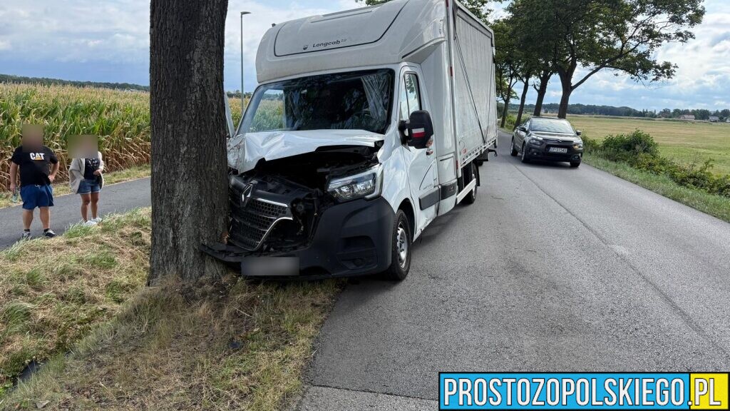 Wypadek w Kotorzu Małym. Samochód dostawczy uderzył w drzewo.