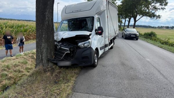 Wypadek w Kotorzu Małym. Samochód dostawczy uderzył w drzewo.