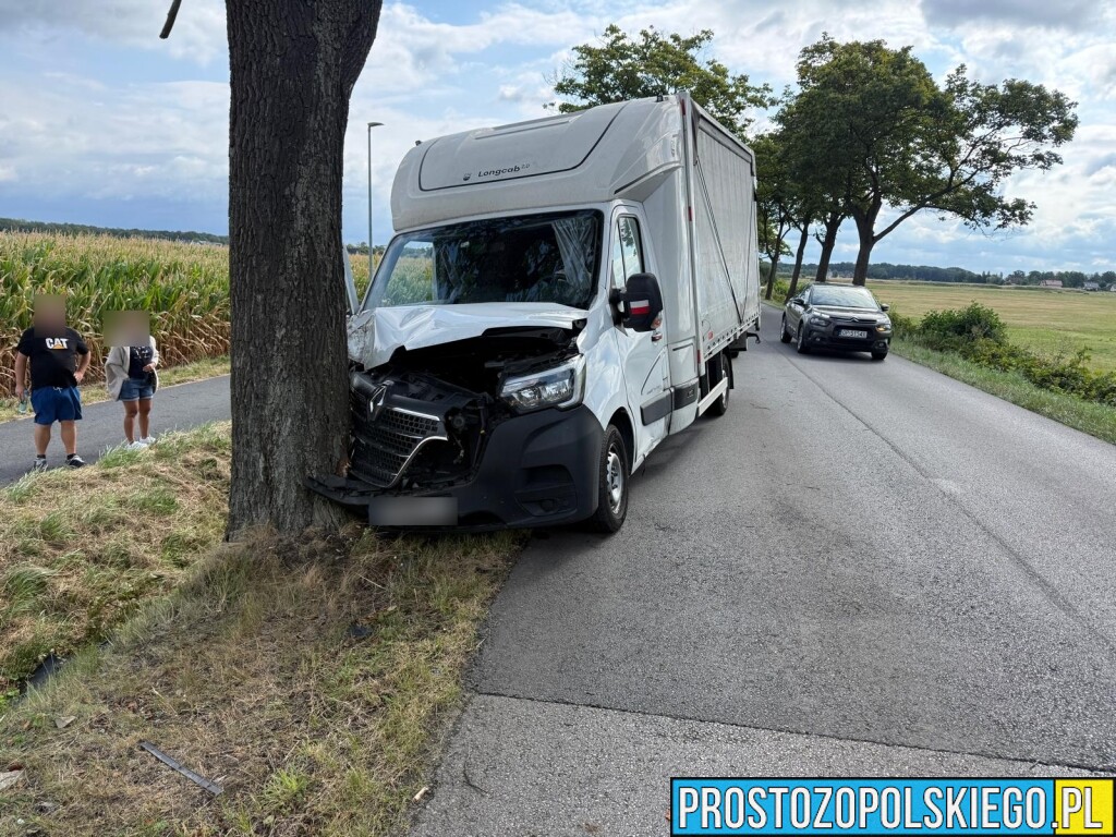 Wypadek w Kotorzu Małym. Samochód dostawczy uderzył w drzewo.