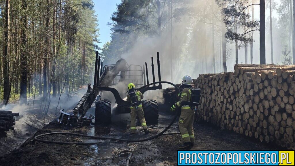 Pożar maszyny leśnej w Dąbrówce Dolnej. Ogień objął także poszycie lasu