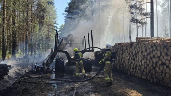 Pożar maszyny leśnej w Dąbrówce Dolnej. Ogień objął także poszycie lasu