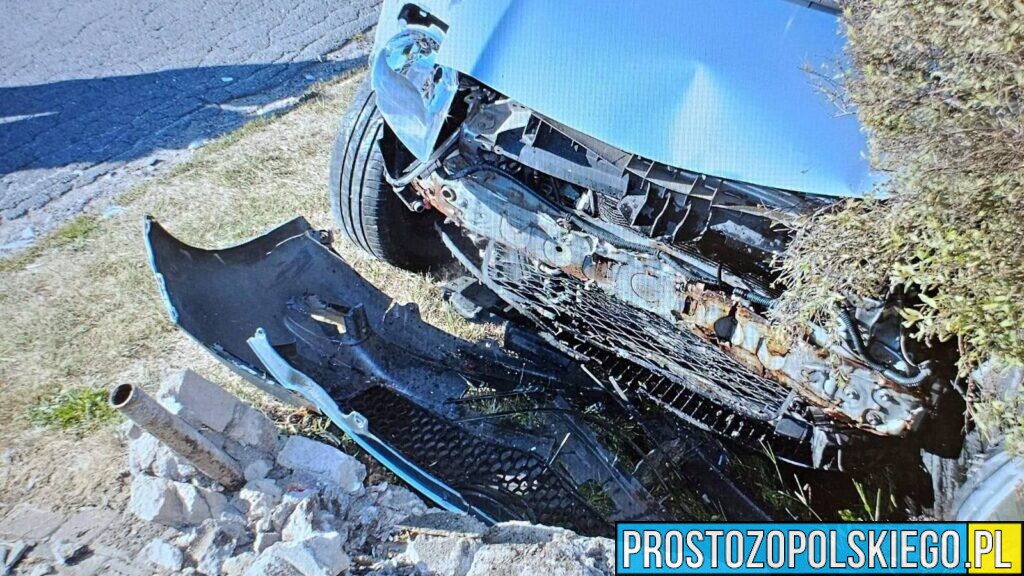 18-latka potrącona przez samochód w Błotnicy Strzeleckiej. 83-letni kierowca stracił prawo jazdy