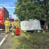 Wypadek na DK11 w pobliżu Kostowa. Dostawczy samochód uderzył w drzewo, jedna osoba w szpitalu