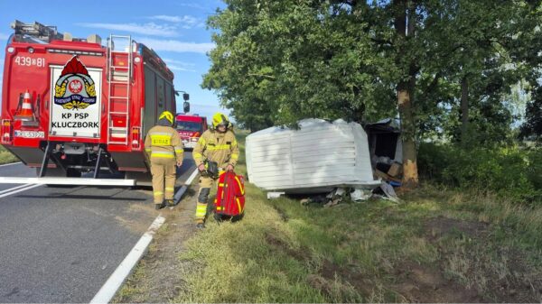 Wypadek na DK11 w pobliżu Kostowa. Dostawczy samochód uderzył w drzewo, jedna osoba w szpitalu