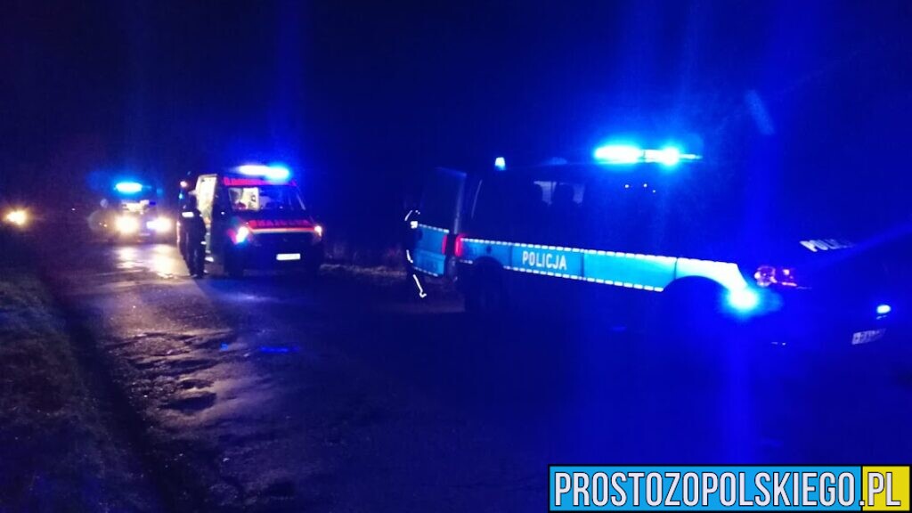Ciało kobiety znalezione w lesie w Kędzierzynie-Koźlu. Na miejscu pracowała policja i prokurator