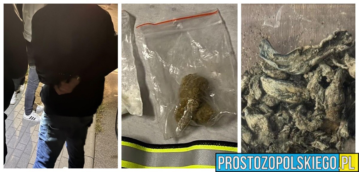Trzech mężczyzn z narkotykami zatrzymanych w Kluczborku. Jeden twierdził, że znalazł je na ławce w parku