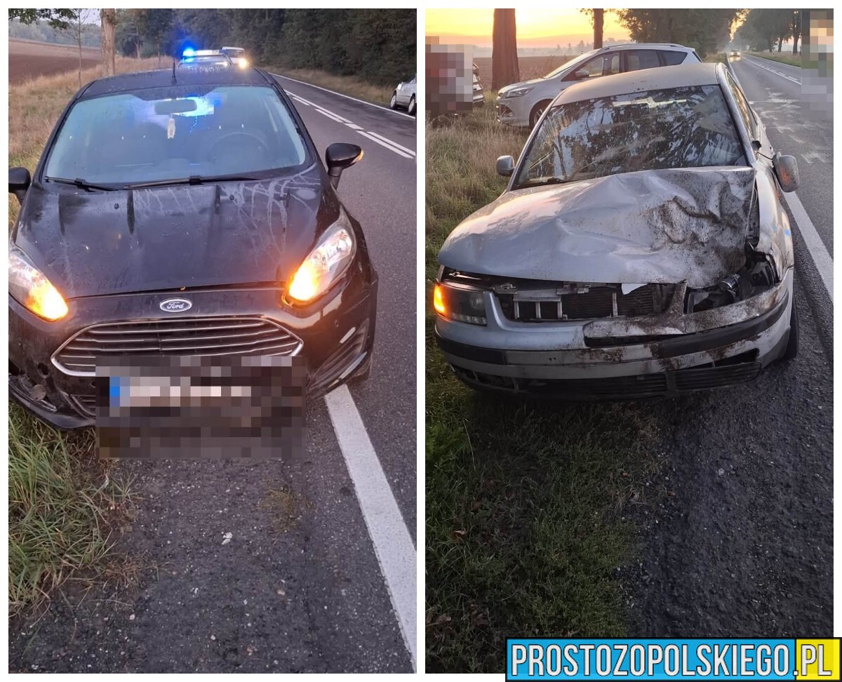 Jeleń wbiegł na DK42. Zderzyły się z nim dwa samochody