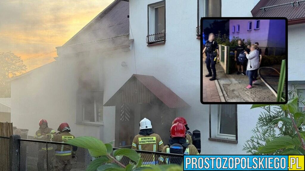 Pożar domu przy al. Przyjaźni w Opolu. Sąsiad ruszył z pomocą, strażacy uratowali kota
