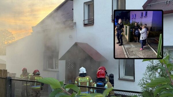 Pożar domu przy al. Przyjaźni w Opolu. Sąsiad ruszył z pomocą, strażacy uratowali kota