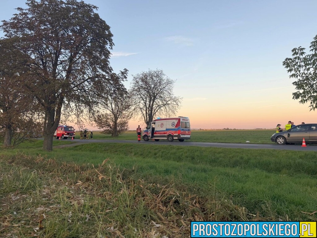 Zderzenie auta i motocykla na trasie Głogówek–Rzepcze. Dwie osoby zabrane do szpitala
