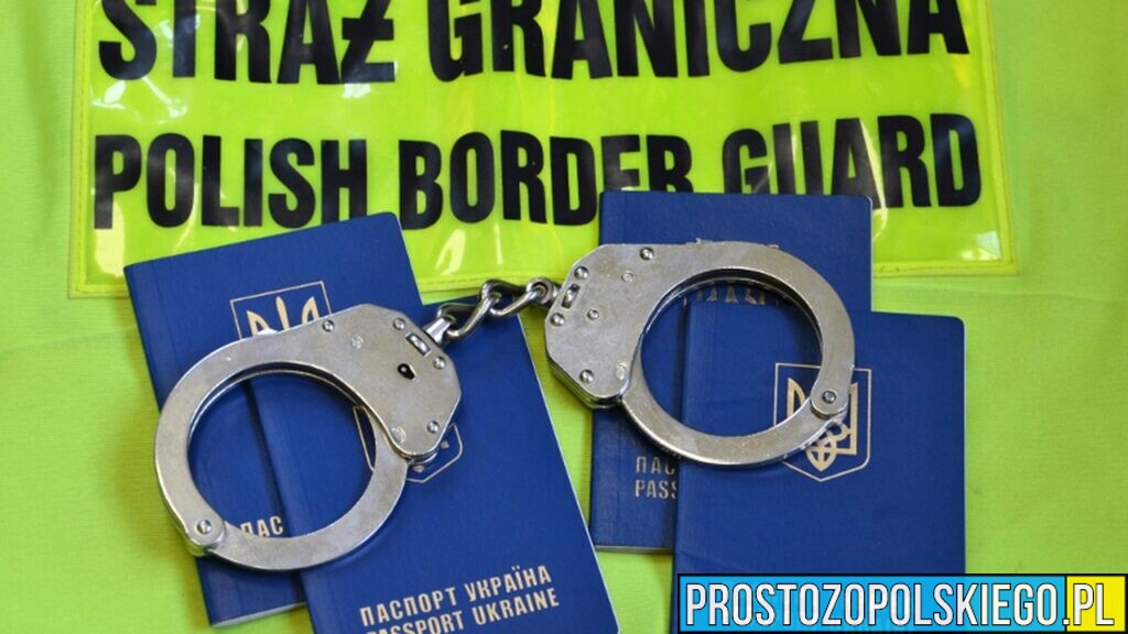 Straż Graniczna skontrolowała firmy na Opolszczyźnie. Nieprawidłowości przy zatrudnianiu 53 cudzoziemców