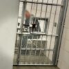 Narkotyki w mieszkaniu w Gogolinie. Policja zatrzymała 37-latka