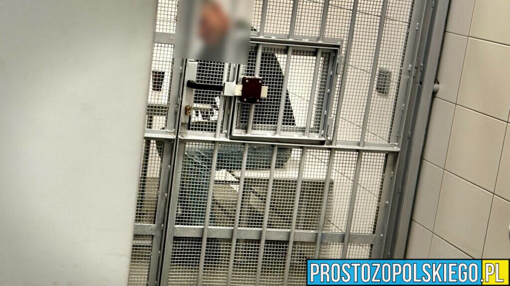 Narkotyki w mieszkaniu w Gogolinie. Policja zatrzymała 37-latka
