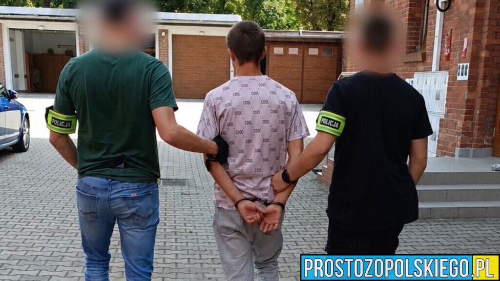Dwaj bracia zatrzymani po pobiciu w Opolu. 19- i 23-latek zostali deportowani z Polski