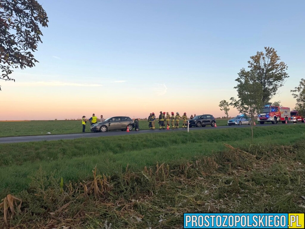 Zderzenie auta i motocykla na trasie Głogówek–Rzepcze. Dwie osoby zabrane do szpitala