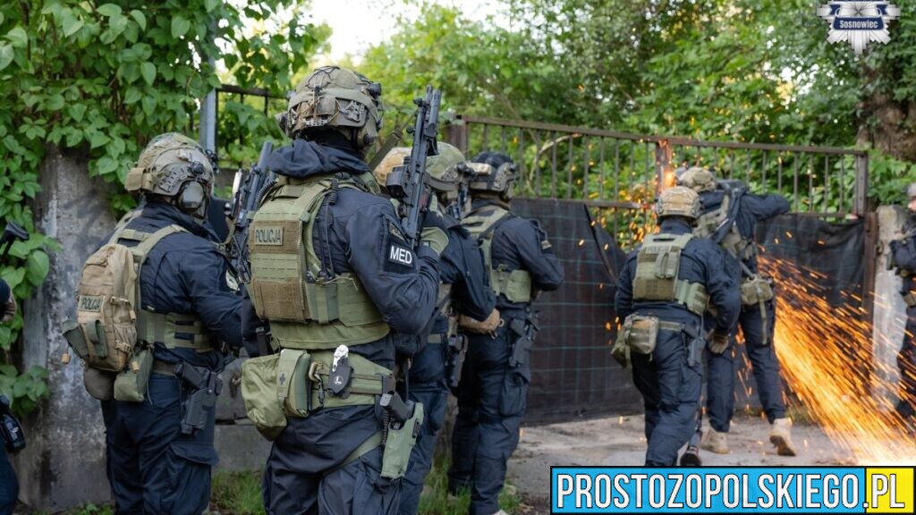 Rozbili zorganizowaną grupę przestępczą. Siedem osób zatrzymanych, straty sięgają 10 milionów złotych