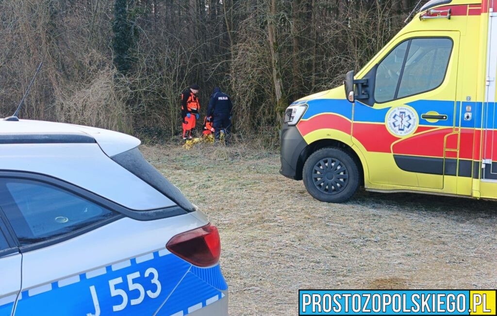 15-latka zaatakowana przez psa w lesie. Nastolatka trafiła do szpitala