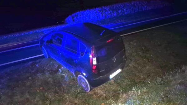 Nie chciał czekać w korku, skończył w rowie. 66-latek miał prawie 2 promile