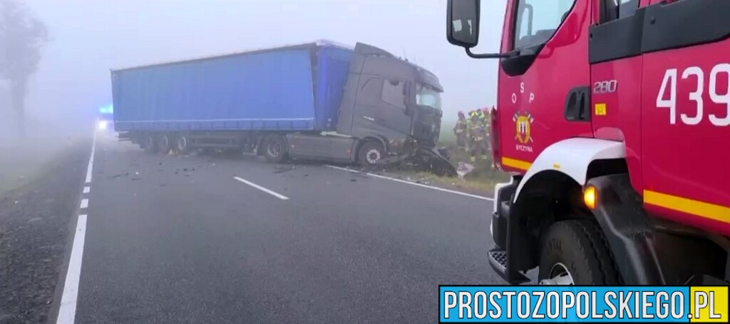 Śmiertelny wypadek na DK11 między Byczyną a Biskupicami. Jest nagranie z kamerki samochodowej [WIDEO]