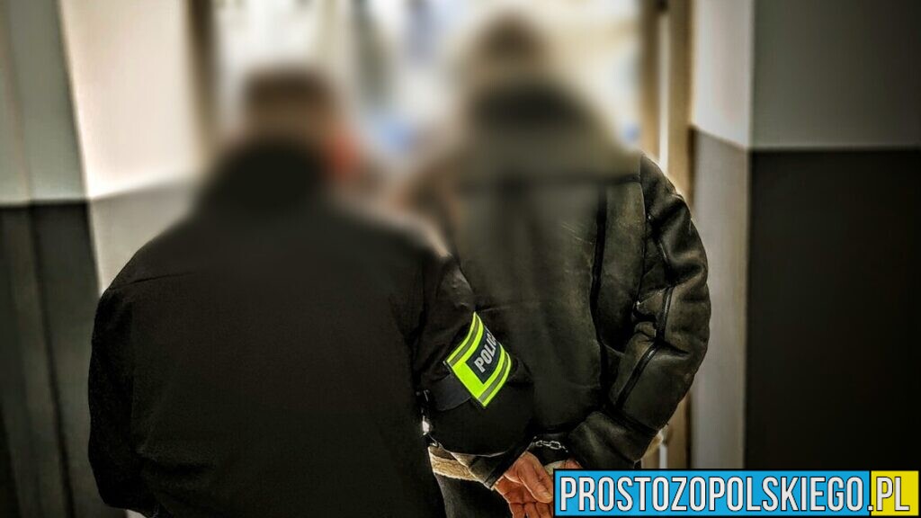 Policjant po służbie zatrzymał agresywnego złodzieja. Mężczyzna usłyszał szereg zarzutów