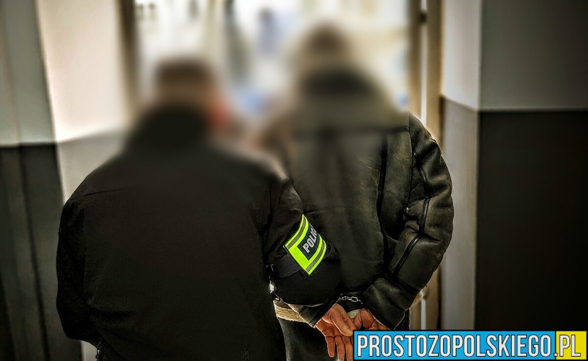 Policjant po służbie zatrzymał agresywnego złodzieja. Mężczyzna usłyszał szereg zarzutów