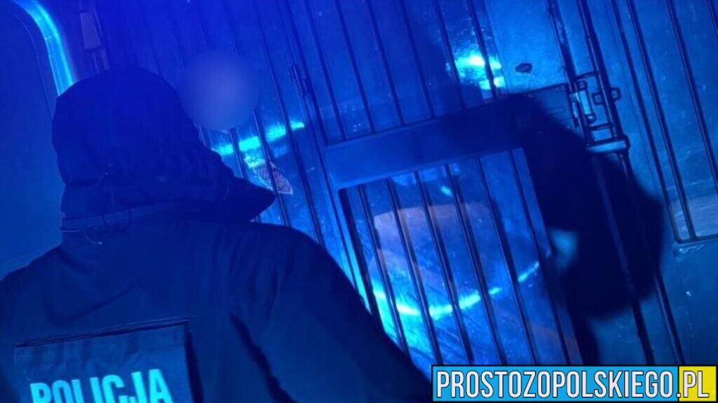 Zaatakował policjantów podczas interwencji w Kluczborku. 35-latek usłyszał zarzuty