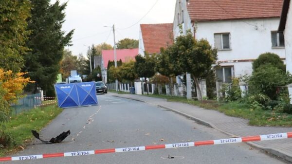 Śmiertelne potrącenie w gminie Łambinowice. 69-latek zatrzymany po ucieczce z miejsca wypadku