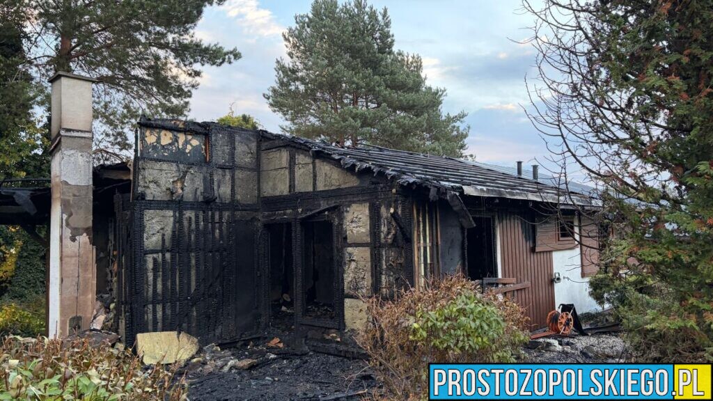 Pożar domu w Jemielnicy. Zginęło 19 zwierząt, osiem udało się uratować