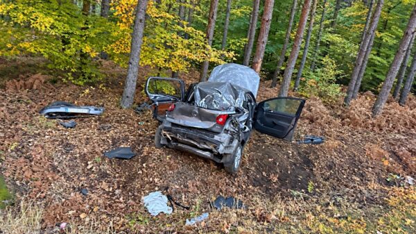 Dwie młode osoby zginęły w wypadku w Zagwiździu. Policja przekazała szczegóły tragedii