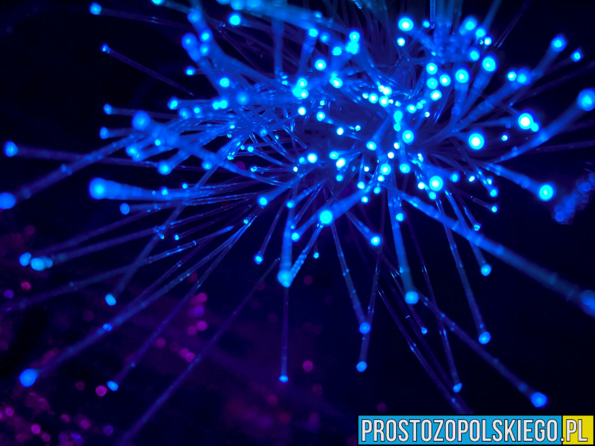 Cyfrowa codzienność. Jak mądrze korzystać z internetu i znaleźć czas na odpoczynek?
